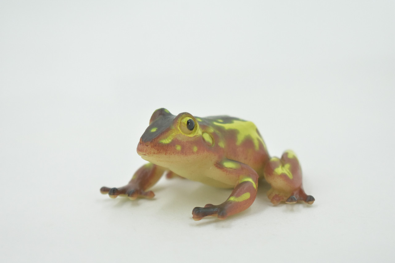 Frog, Brown & Yellow, Amphibians, High Quality, Hand Painted, Rubber, Realistic, Model, Replica, Toy, Kids, Educational, Gift,      2 1/2"     RI31 B177  