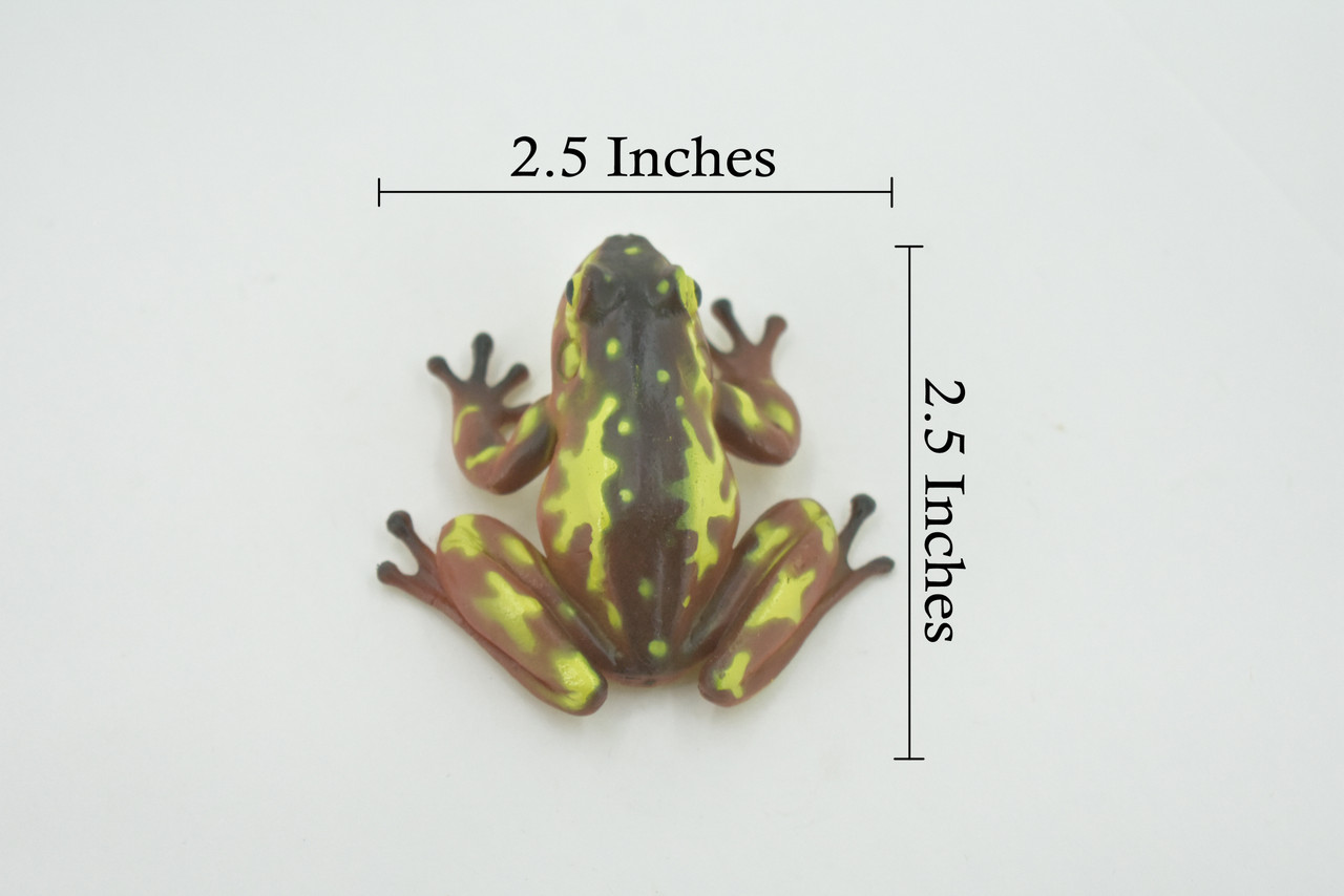 Frog, Brown & Yellow, Amphibians, High Quality, Hand Painted, Rubber, Realistic, Model, Replica, Toy, Kids, Educational, Gift,      2 1/2"     RI31 B177  