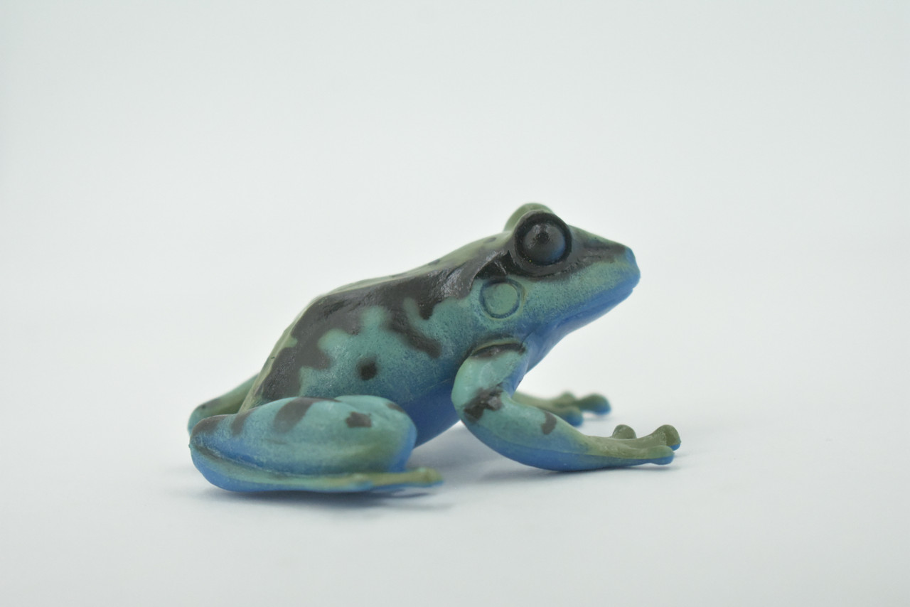 Frog, Green & Blue, Amphibians, High Quality, Hand Painted, Rubber, Realistic, Model, Replica, Toy, Kids, Educational, Gift,      2 1/2"     RI32 B177  