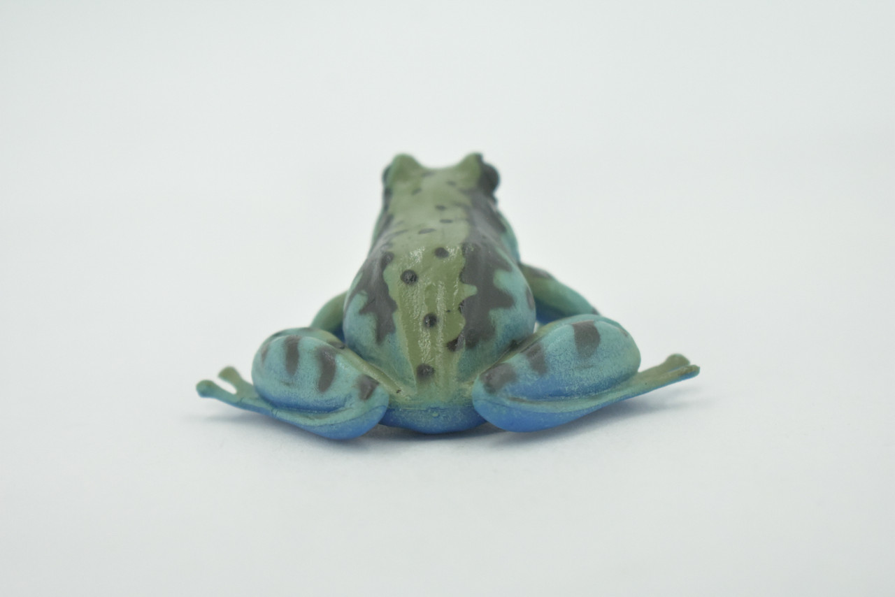 Frog, Green & Blue, Amphibians, High Quality, Hand Painted, Rubber, Realistic, Model, Replica, Toy, Kids, Educational, Gift,      2 1/2"     RI32 B177  