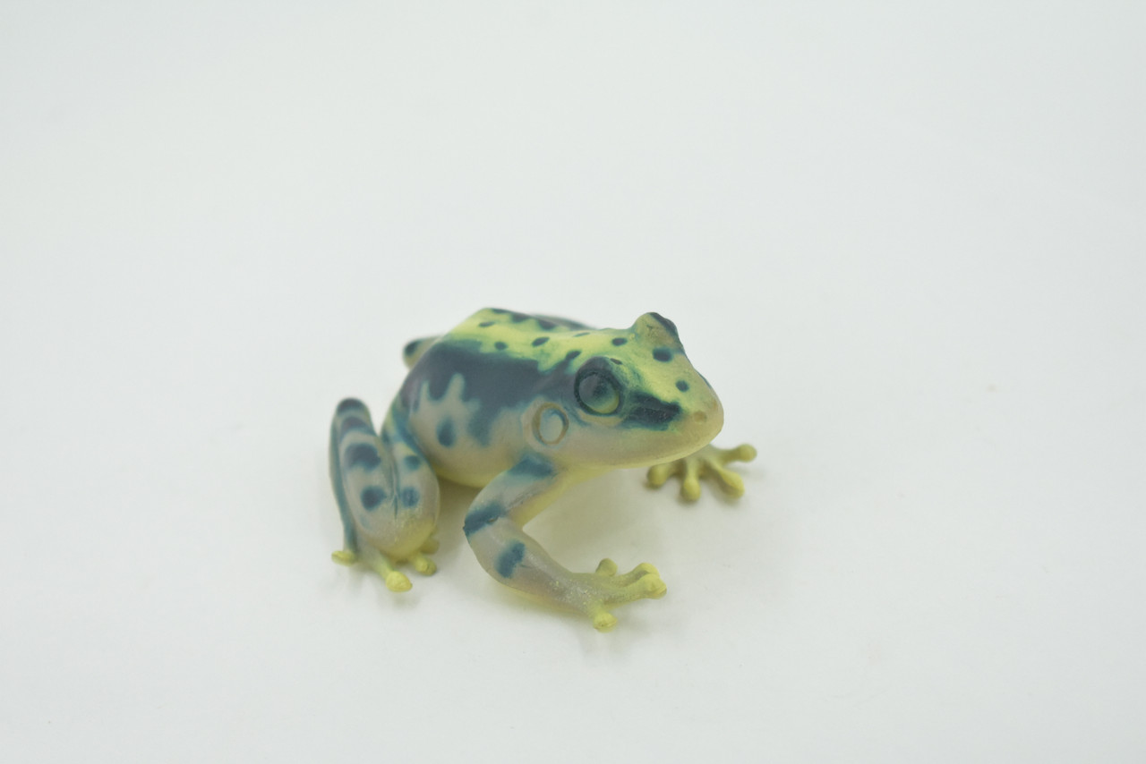 Frog, Green, Amphibians, High Quality, Hand Painted, Rubber, Realistic, Model, Replica, Toy, Kids, Educational, Gift,      2 1/2"     RI34 B177  