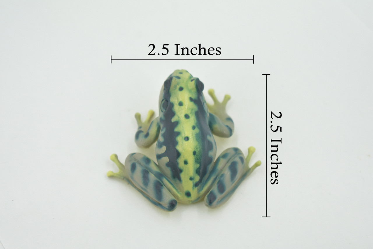 Frog, Green, Amphibians, High Quality, Hand Painted, Rubber, Realistic, Model, Replica, Toy, Kids, Educational, Gift,      2 1/2"     RI34 B177  