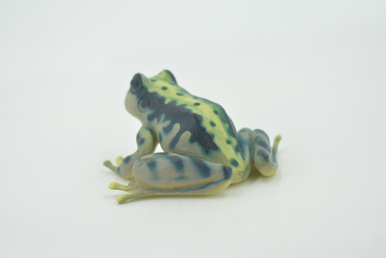 Frog, Green, Amphibians, High Quality, Hand Painted, Rubber, Realistic, Model, Replica, Toy, Kids, Educational, Gift,      2 1/2"     RI34 B177  