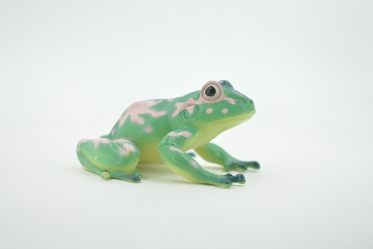 Frog, Green & Pink, Amphibians, High Quality, Hand Painted, Rubber, Realistic, Model, Replica, Toy, Kids, Educational, Gift,      2 1/2"     RI35 B177  