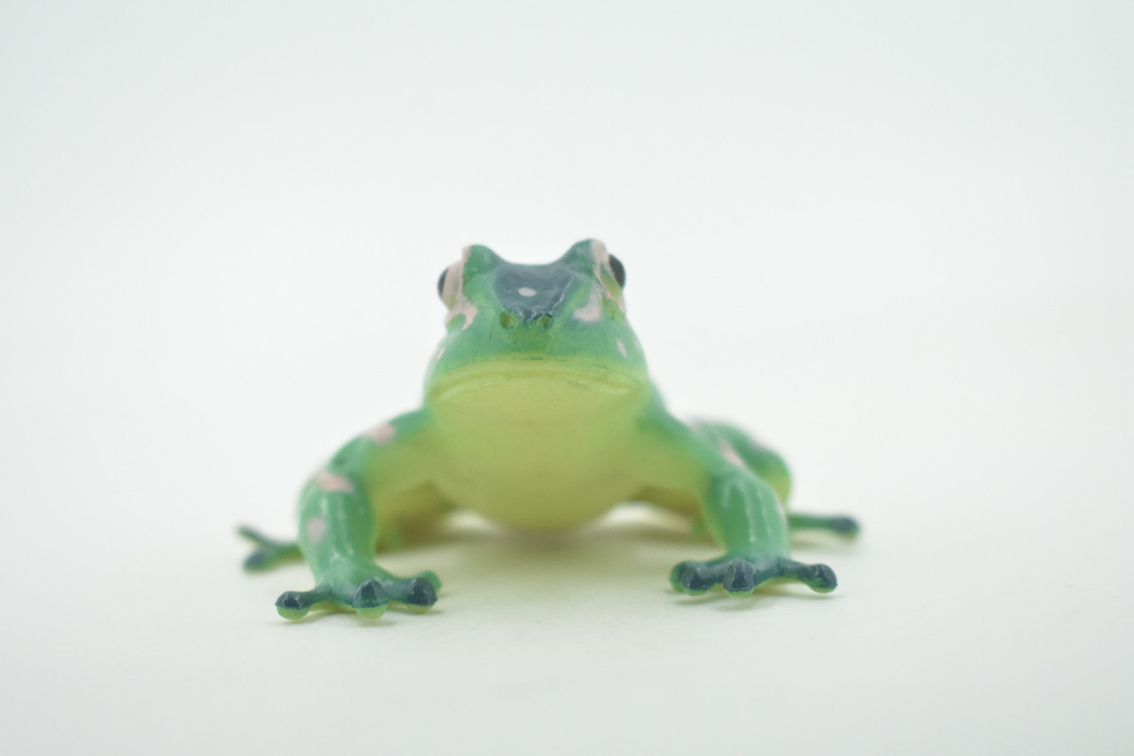 Frog, Green & Pink, Amphibians, High Quality, Hand Painted, Rubber, Realistic, Model, Replica, Toy, Kids, Educational, Gift,      2 1/2"     RI35 B177  