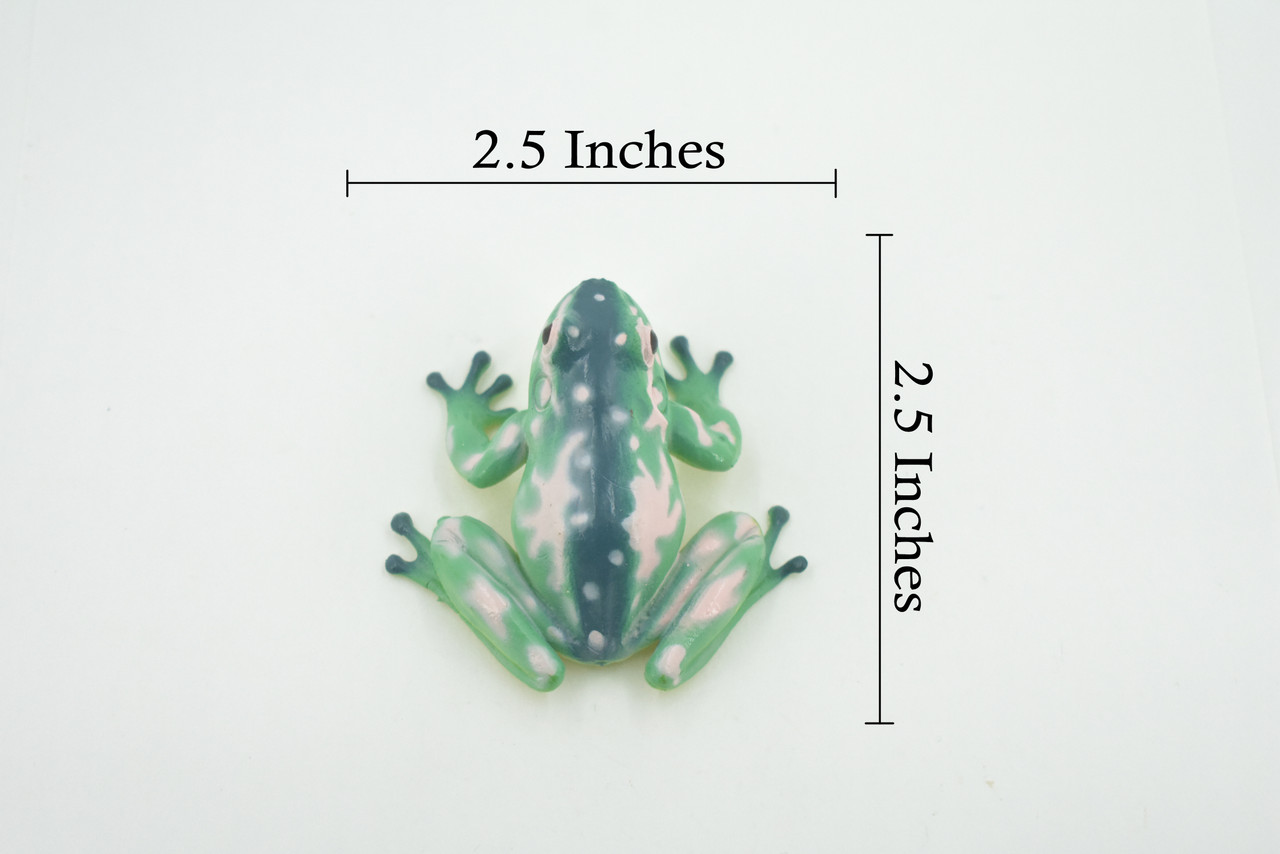 Frog, Green & Pink, Amphibians, High Quality, Hand Painted, Rubber, Realistic, Model, Replica, Toy, Kids, Educational, Gift,      2 1/2"     RI35 B177  