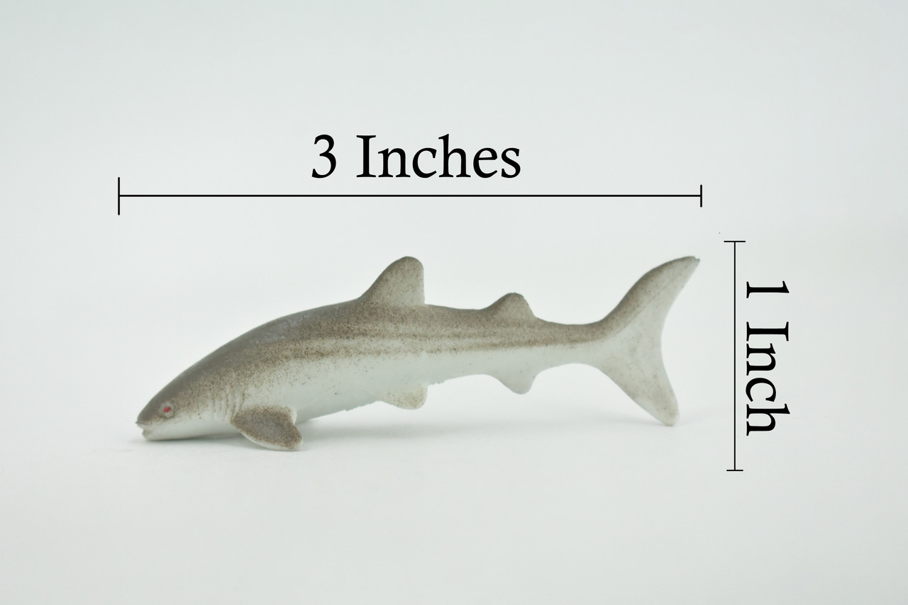 Shark, Nurse Shark, High Quality, Rubber Fish, Hand Painted, Realistic, Toy Figure, Model, Replica, Kids, Educational, Gift,      3"     IM05 B228 