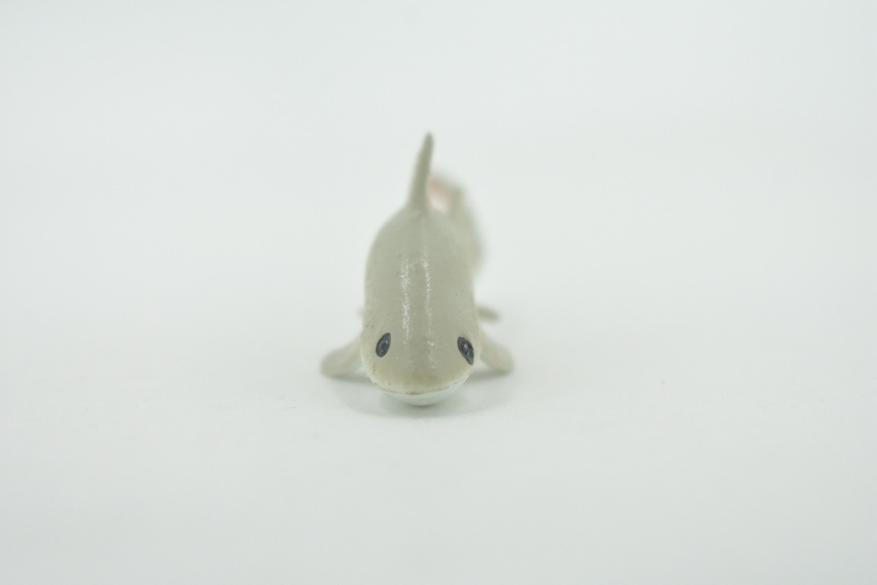 Shark, Short-tail nurse shark, High Quality, Rubber Fish, Hand Painted, Realistic, Toy Figure, Model, Replica, Kids, Educational, Gift,      3"     IM07 B228 