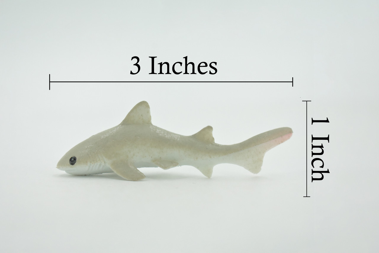 Shark, Short-tail nurse shark, High Quality, Rubber Fish, Hand Painted, Realistic, Toy Figure, Model, Replica, Kids, Educational, Gift,      3"     IM07 B228 