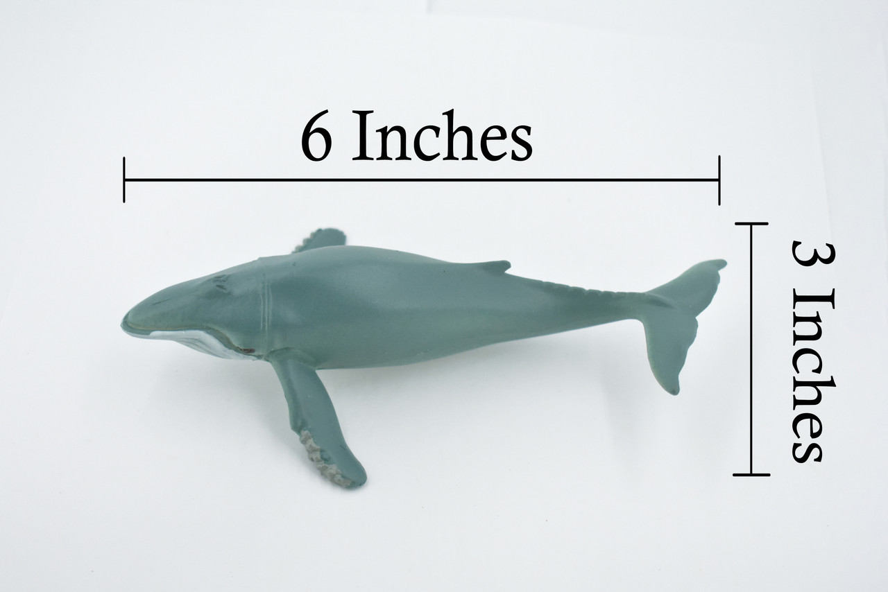 Whale, Humpback Whale, Marine Mammal, Soft Rubber,  Animal, Realistic, Figure, Model, Replica, Toy, Kids, Educational, Gift,        6"      CWG303 B111