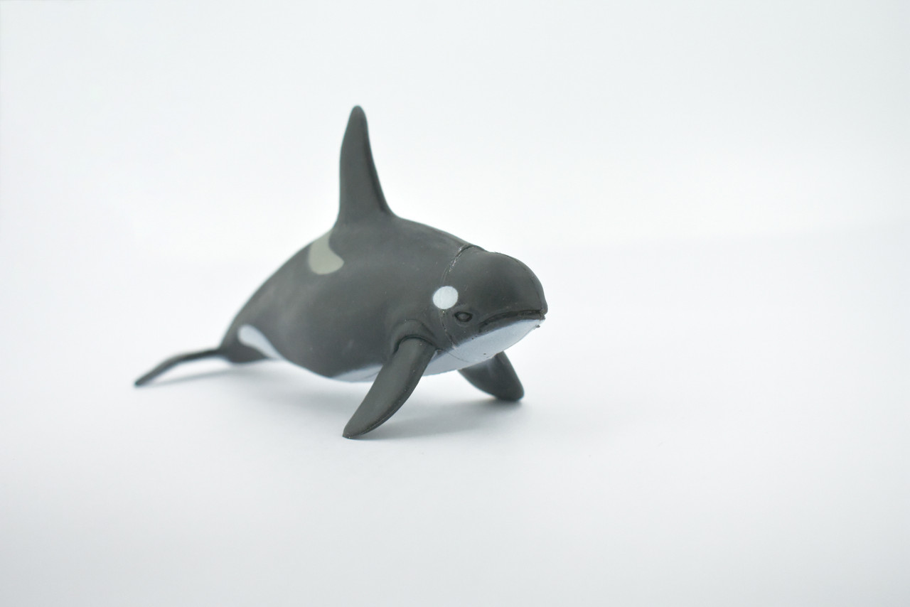 Whale, Orca, Killer Whale, Marine Mammal, Soft Rubber,  Animal, Realistic, Figure, Model, Replica, Toy, Kids, Educational, Gift,        5 1/2"      CWG304 B111