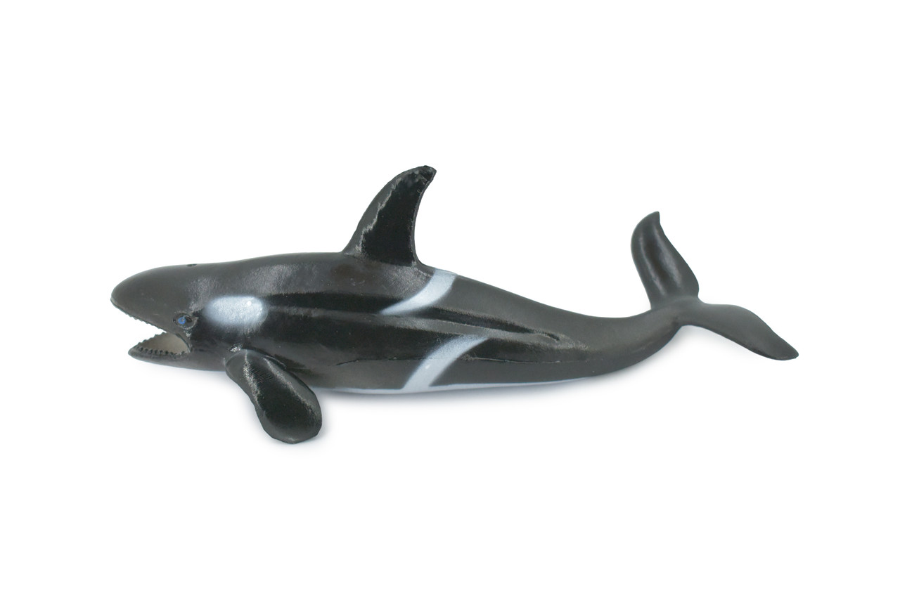 Whale, Orca, Killer Whale, Marine Mammal, Plastic, Animal, Realistic, Figure, Model, Replica, Toy, Kids, Educational, Gift,        7"      CWG305 B382