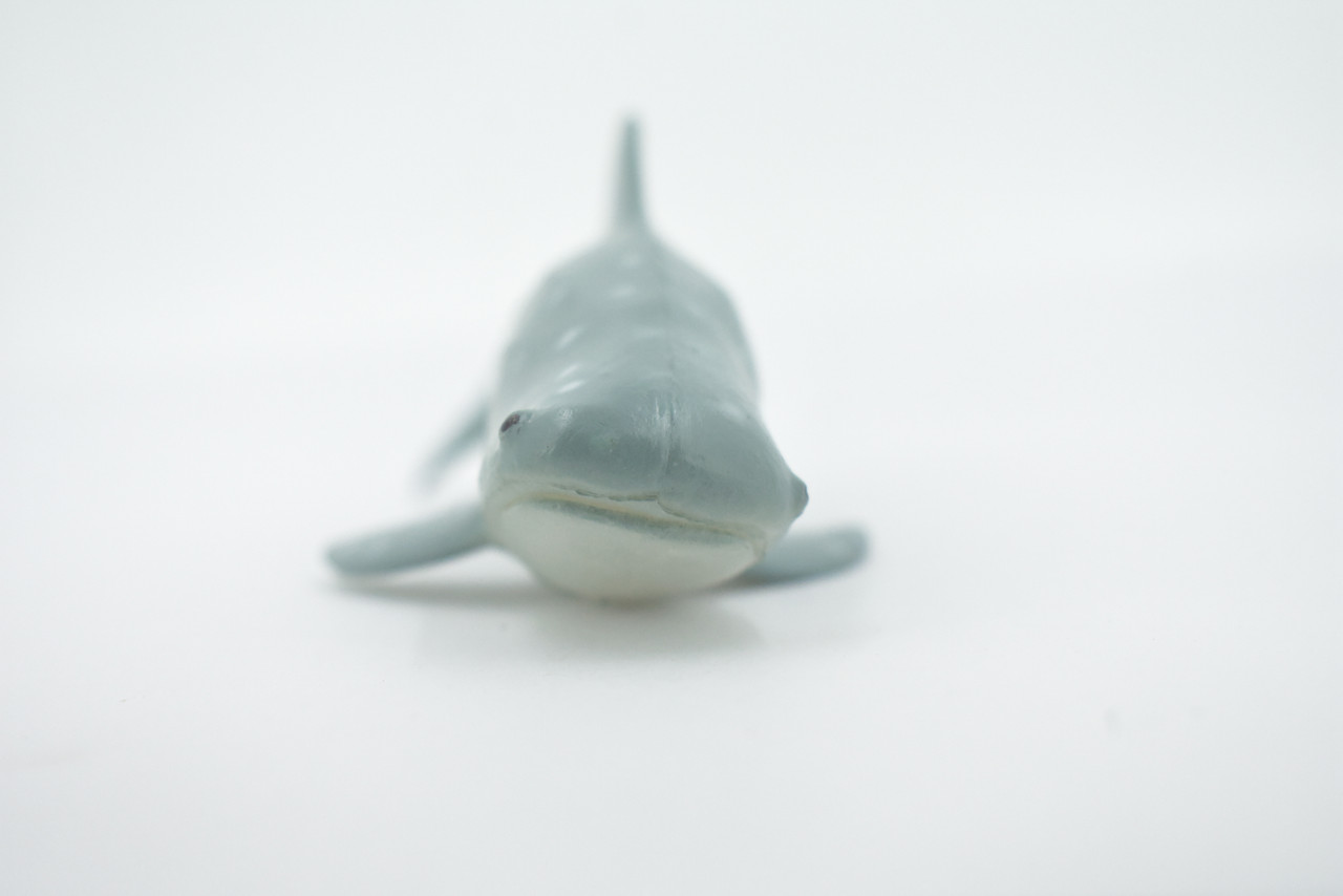 Whale Shark, High Quality, Hand Painted, Rubber, Marine Fish, Educational, Realistic, Figure, Replica, Toy, Kids, Educational, Gift,     7"    CWG306 B382