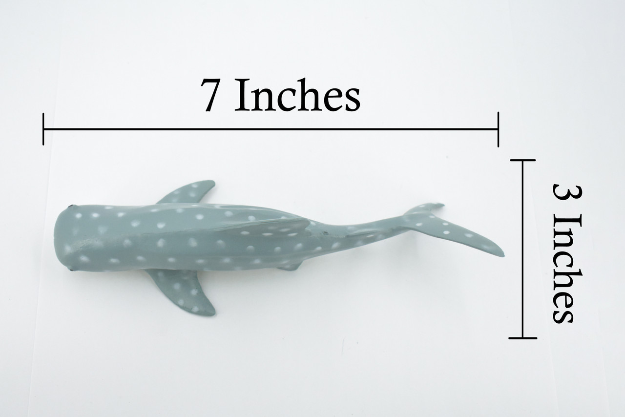 Whale Shark, High Quality, Hand Painted, Rubber, Marine Fish, Educational, Realistic, Figure, Replica, Toy, Kids, Educational, Gift,     7"    CWG306 B382