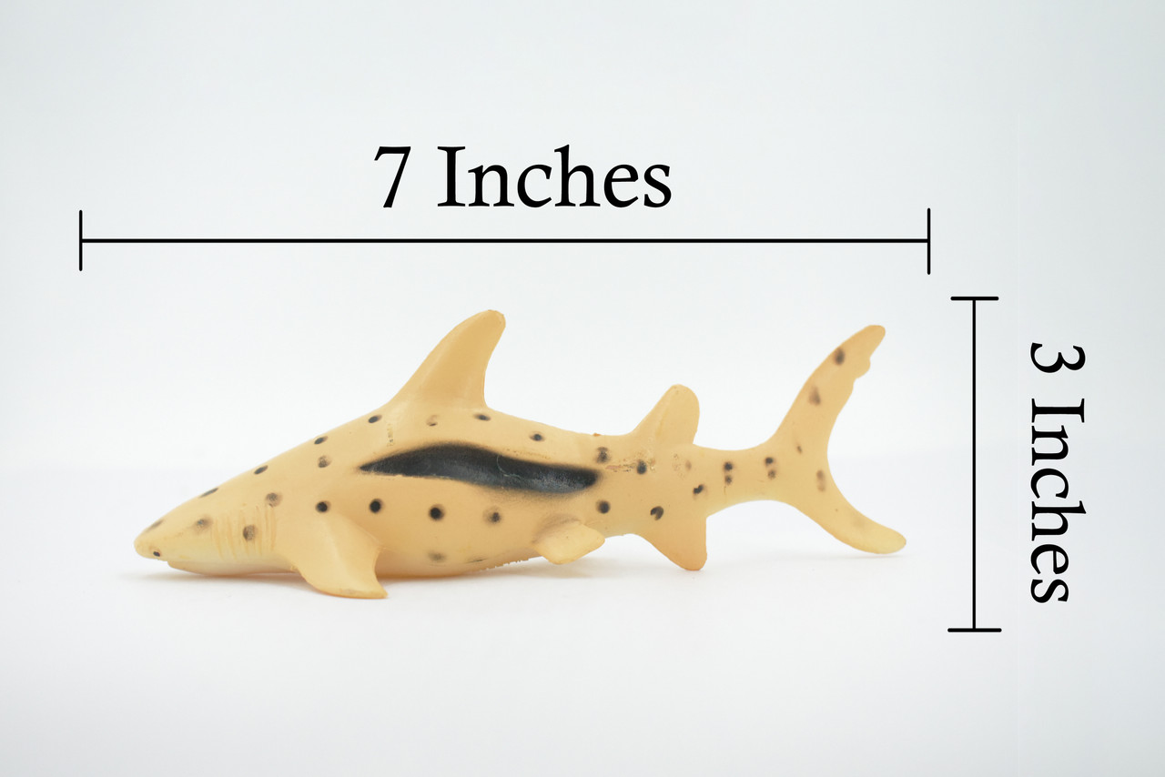 Shark, Zebra Shark, High Quality, Hand Painted, Rubber Fish, Realistic, Figure, Model, Replica, Toy, Kids, Educational, Gift,        7"        CWG309 B382