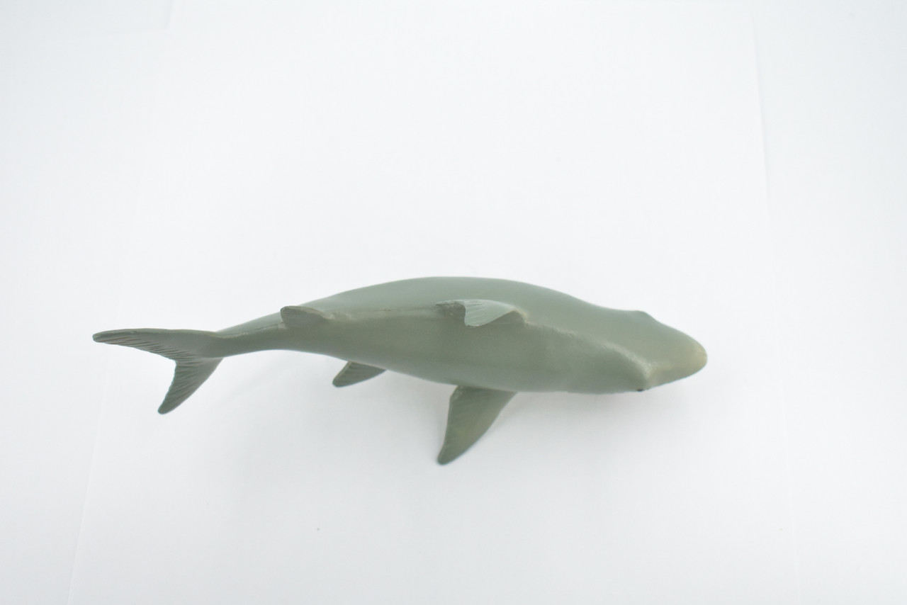 Shark, Great White, G.W. Shark, High Quality, Rubber Fish, Realistic, Figure, Model, Replica,  Toy, Kids, Educational, Gift,          7"        CWG310 B382          