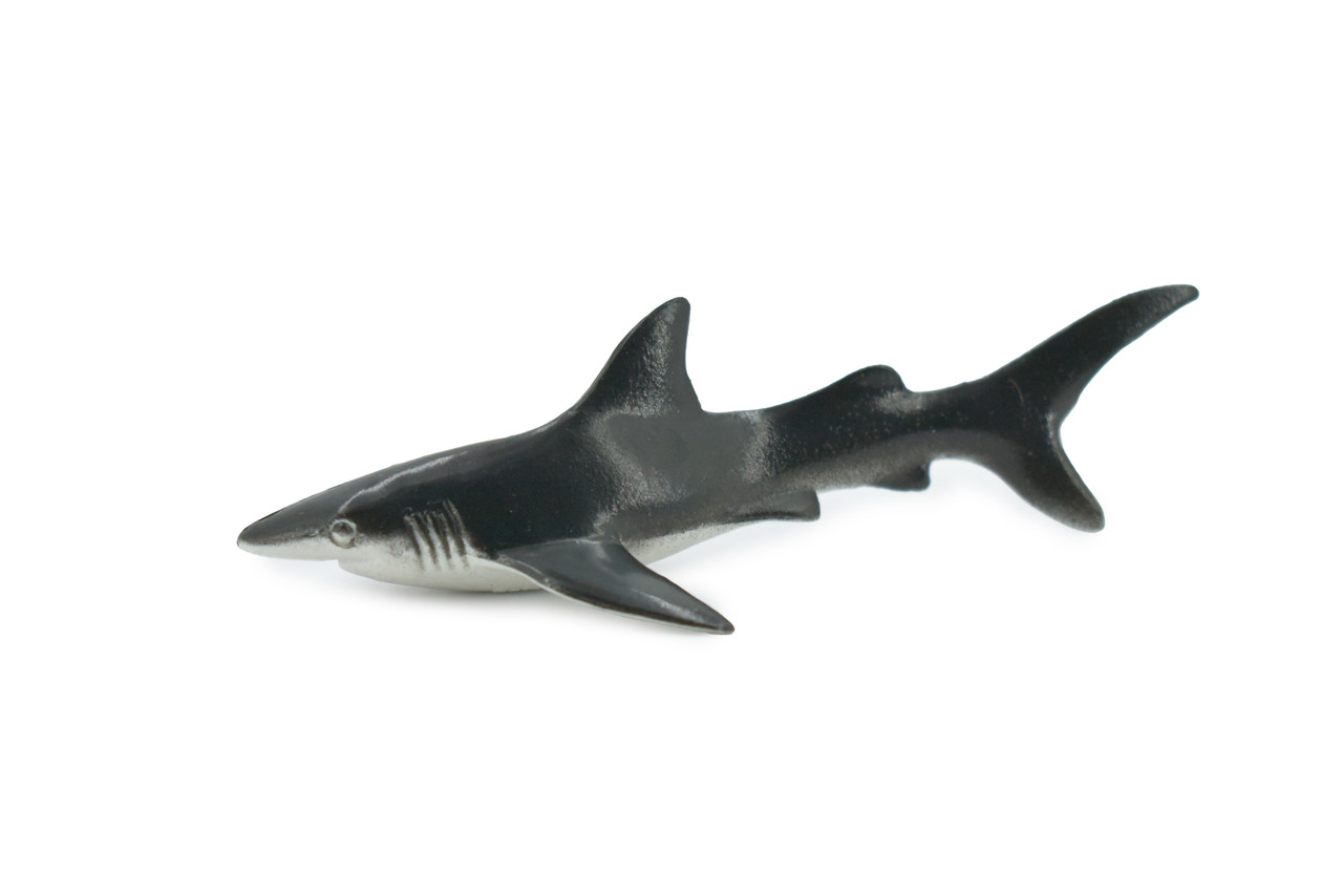 Galapagos Islands Shark, Black, Educational, Hand Painted, Realistic Plastic Shark, Lifelike, Diorama, Model, Toy, Kids, Gift,  3 1/2 Inches. 