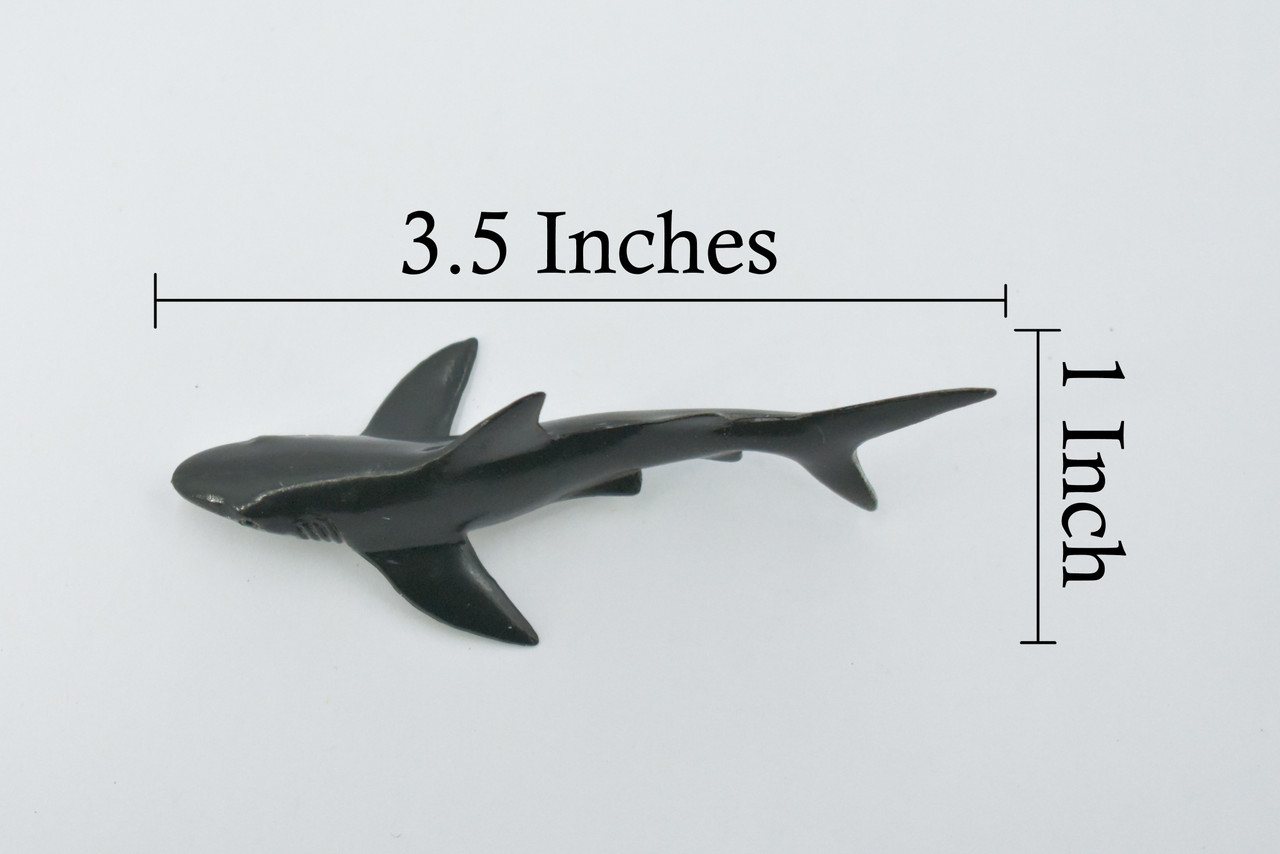Black Galapagos Islands Shark, Rubber Fish, Educational, Realistic, Figure, Lifelike Model, Figurine, Replica, Gift,        3 1/2"      F1529 B150