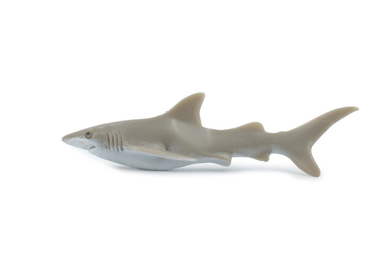 Shark, Galapagos Islands Shark, Grey, Rubber Fish, Educational, Realistic, Figure, Lifelike Model, Figurine, Replica, Gift,        3 1/2"      F1531 B150