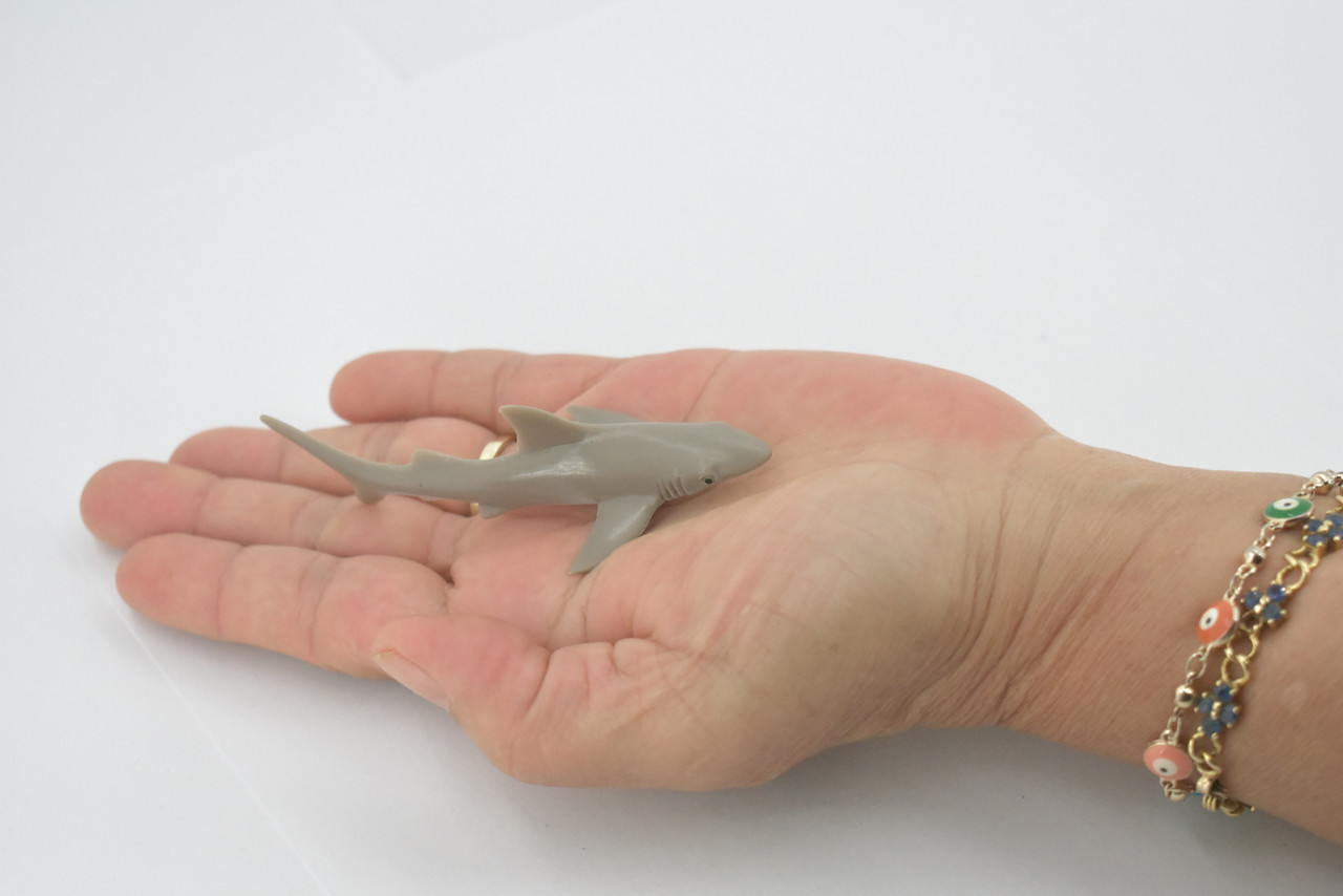 Shark, Galapagos Islands Shark, Grey, Rubber Fish, Educational, Realistic, Figure, Lifelike Model, Figurine, Replica, Gift,        3 1/2"      F1531 B150