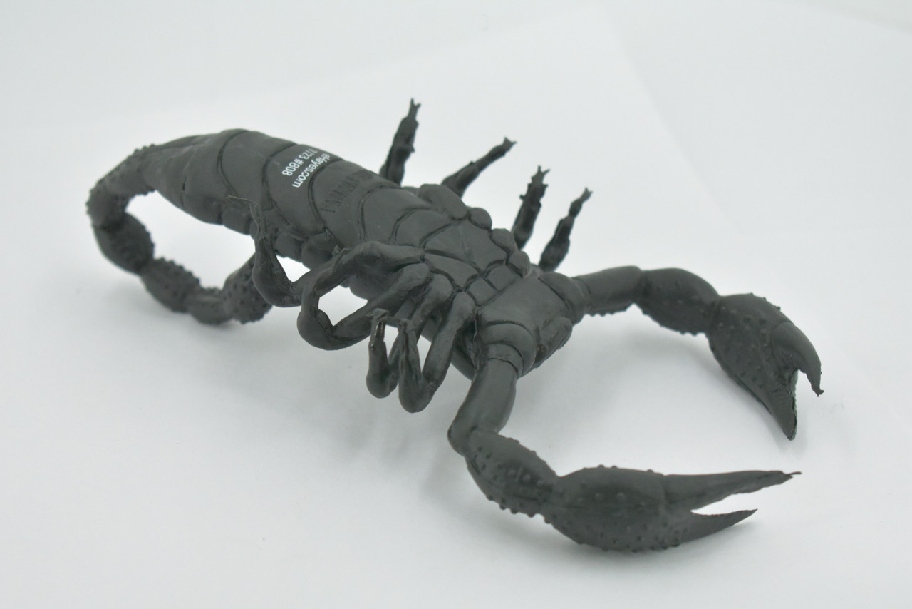 Scorpion, Black, Solid Rubber, Arachnids, Realistic, Figure, Model, Replica, Toy, Kids, Educational, Gift,           7"        F1974 B210