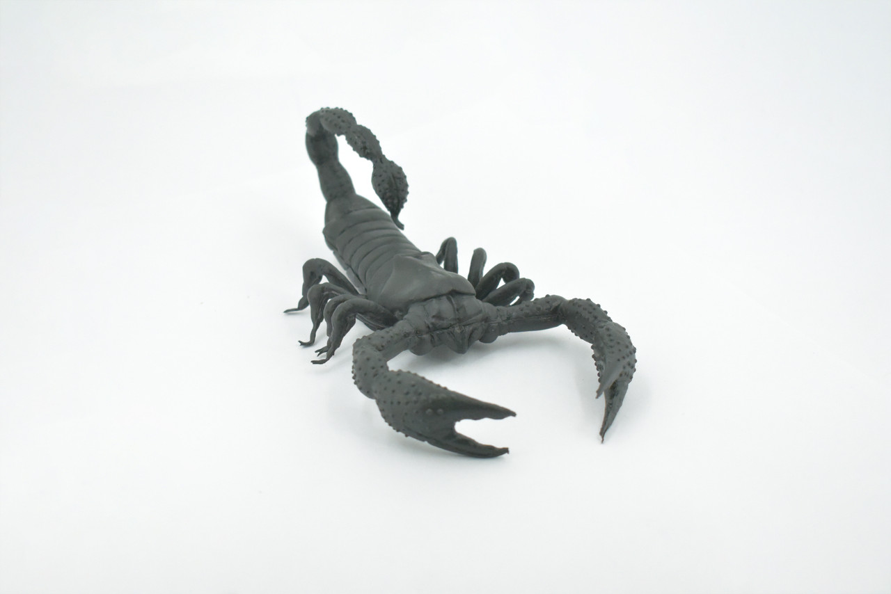 Scorpion, Black, Solid Rubber, Arachnids, Realistic, Figure, Model, Replica, Toy, Kids, Educational, Gift,           7"        F1974 B210