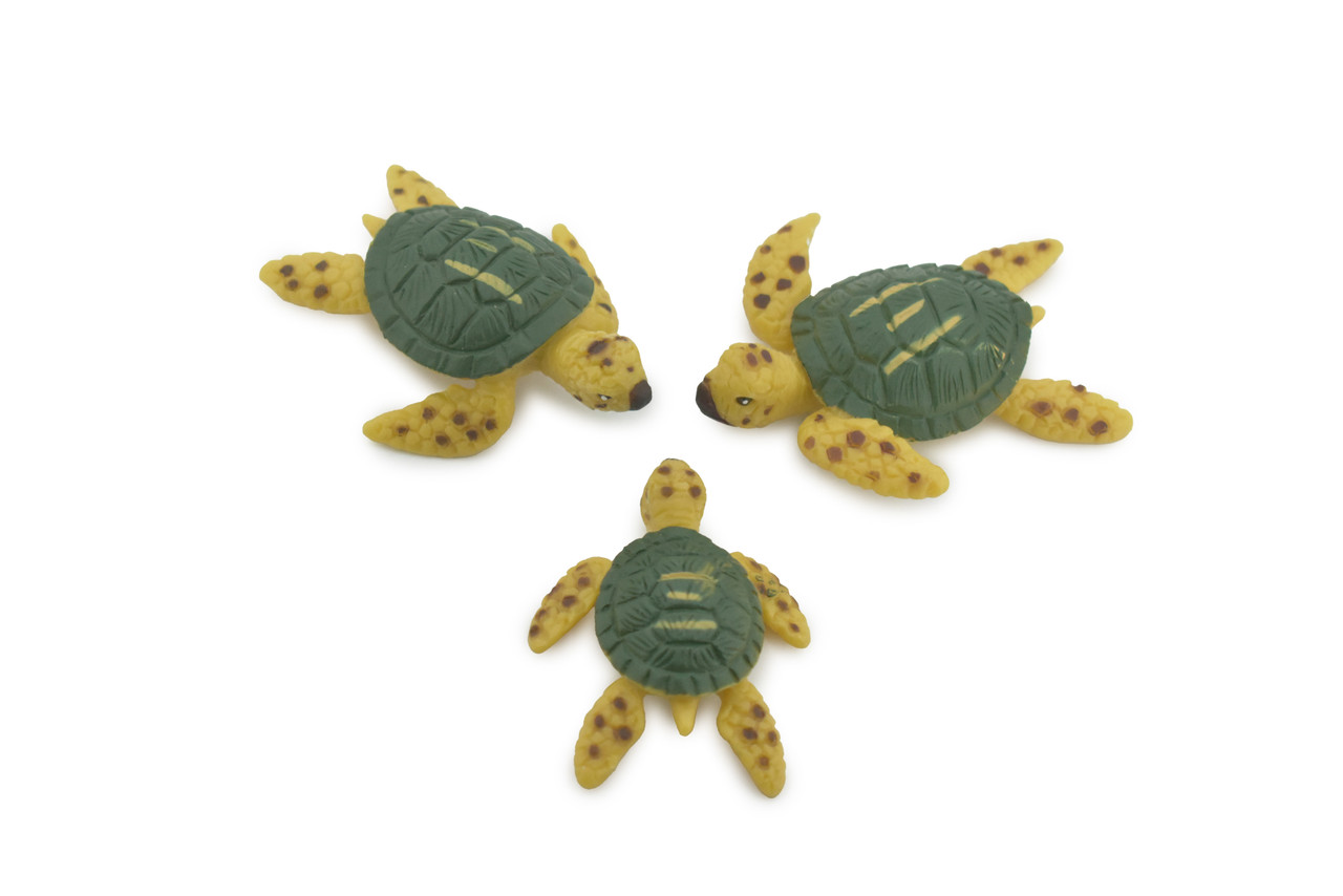 Sea Turtle, 3 Piece Set, 3 Sizes, Design, Realistic, Figure, Reptile, Educational, Lifelike, Model, Figurine, Replica, Toy, Kids, Gift,      3"     F3914 B618