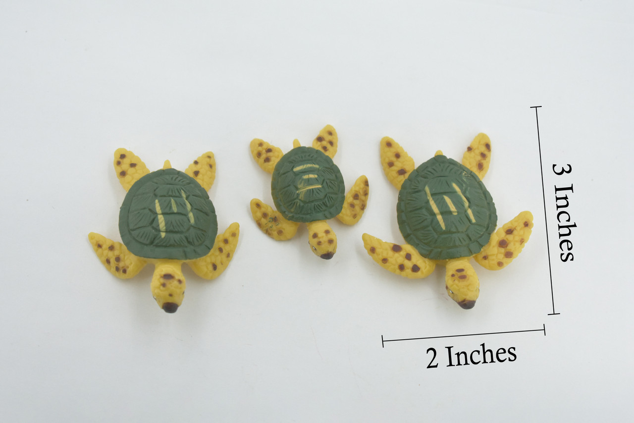 Sea Turtle, 3 Piece Set, 3 Sizes, Design, Realistic, Figure, Reptile, Educational, Lifelike, Model, Figurine, Replica, Toy, Kids, Gift,      3"