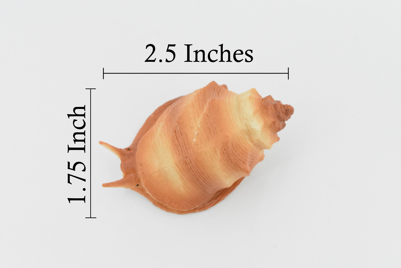 Sea Snail, Conch Shell, Ocean, Beach, Sea Life, Plastic Figure, Model, Realistic Replica, Educational, Figurine, Animal, Life Like, Gift,    2 1/2"     F6023 B378