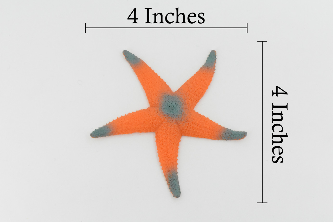 Starfish, Orange Sea Star, Ocean, Sea Life, Plastic Figure, Model, Realistic Replica, Educational, Figurine, Animal, Life Like, Gift,     4"    F6019 B378