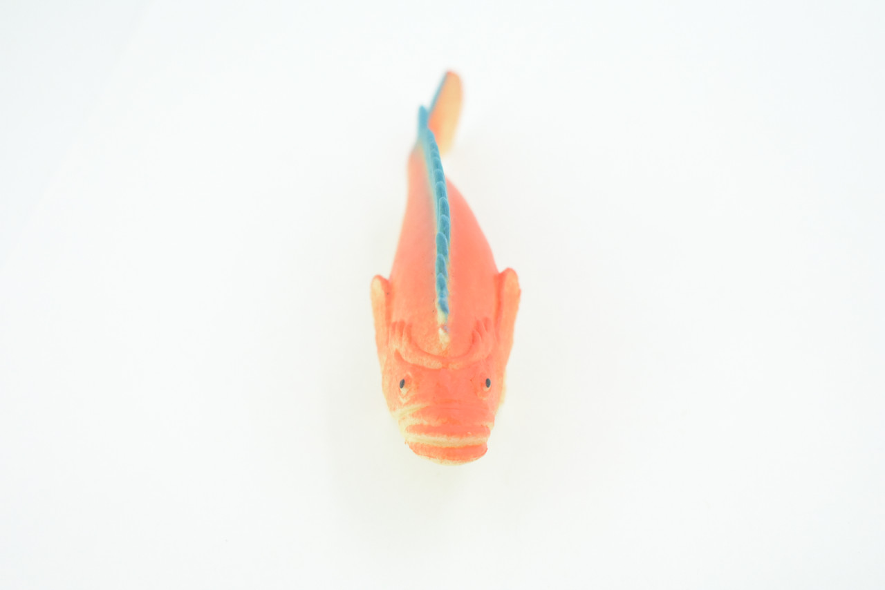 Red Snapper, Sebastes miniatus, Saltwater, Rubber Fish, Realistic, Figure, Model, Replica, Toy, Kids, Educational, Gift,       4 1/2"        F0416  B378