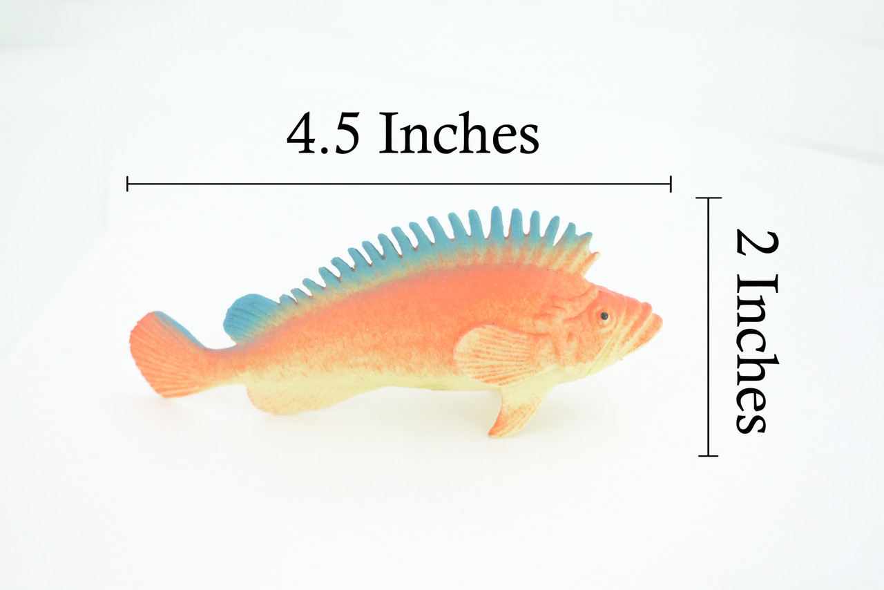 Red Snapper, Sebastes miniatus, Saltwater, Rubber Fish, Realistic, Figure, Model, Replica, Toy, Kids, Educational, Gift,       4 1/2"        F0416  B378