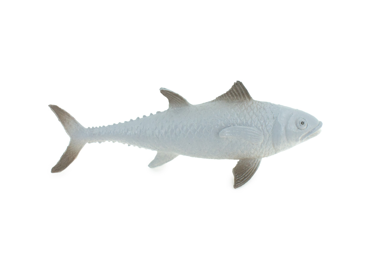 Mullet, Grey mullets are a family Mugilidae, Saltwater, Rubber Fish, Realistic, Figure, Model, Replica, Toy, Kids, Educational, Gift,      5"      F0417 B378