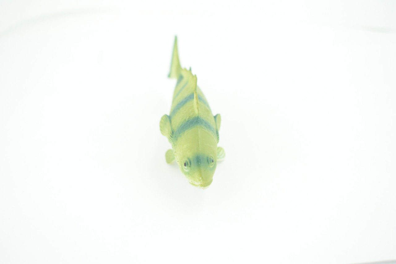 Green Tilefish, Great Northern Golden Tile Fish, Saltwater, Rubber Fish, Realistic, Figure, Model, Replica, Toy, Kids, Educational, Gift,        4 1/2"       F0418 B378