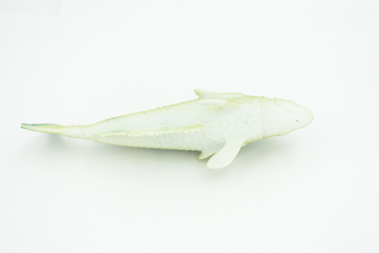 Green Tilefish, Great Northern Golden Tile Fish, Saltwater, Rubber Fish, Realistic, Figure, Model, Replica, Toy, Kids, Educational, Gift,        4 1/2"       F0418 B378