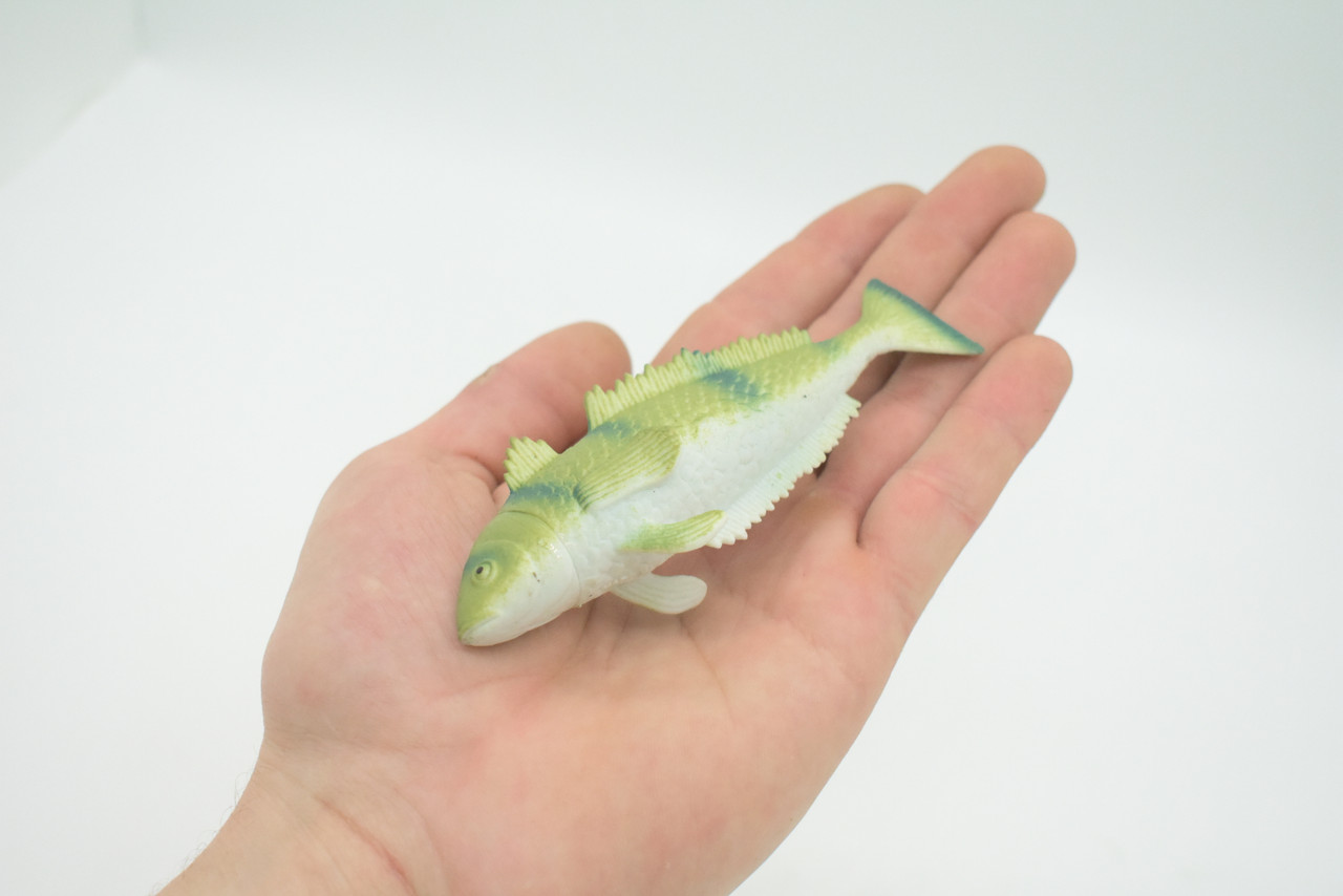 Green Tilefish, Great Northern Golden Tile Fish, Saltwater, Rubber Fish, Realistic, Figure, Model, Replica, Toy, Kids, Educational, Gift,        4 1/2"       F0418 B378