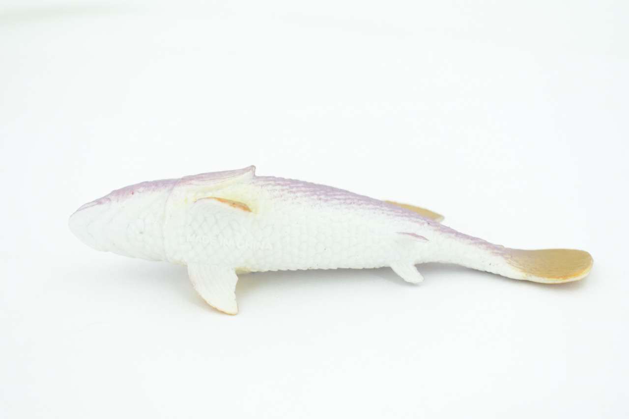 Grouper, Western Blue, Eastern, Australia, Saltwater, Rubber Fish, Realistic, Figure, Model, Replica, Toy, Kids, Educational, Gift,        4 1/2"      F0419 B378