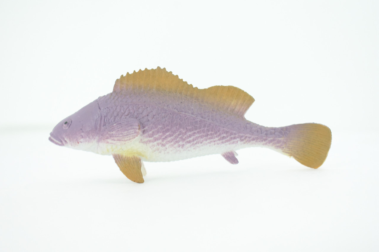 Grouper, Western Blue, Eastern, Australia, Saltwater, Rubber Fish, Realistic, Figure, Model, Replica, Toy, Kids, Educational, Gift,        4 1/2"      F0419 B378