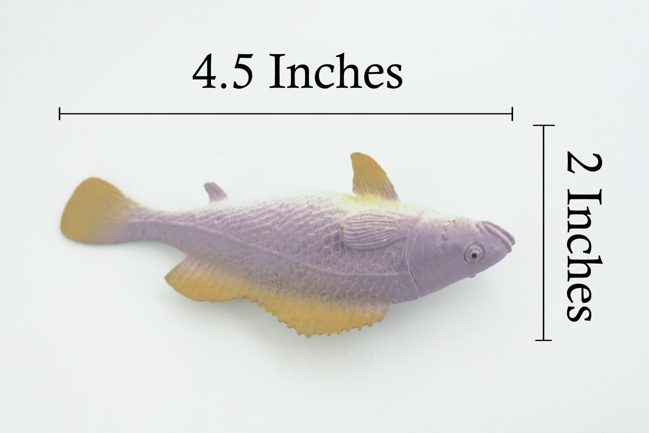 Grouper, Western Blue, Eastern, Australia, Saltwater, Rubber Fish, Realistic, Figure, Model, Replica, Toy, Kids, Educational, Gift,        4 1/2"      F0419 B378