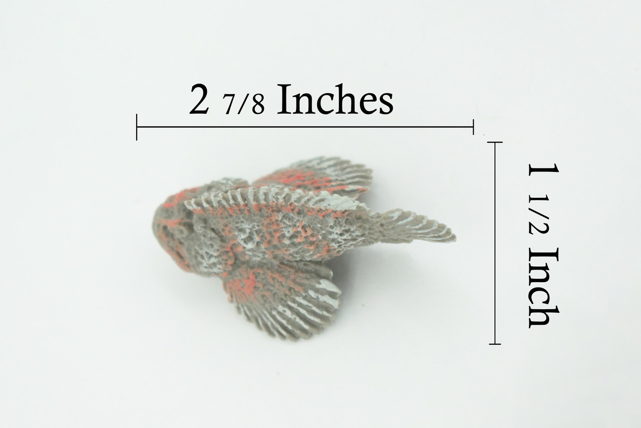 Stonefish, Scorpionfish, Venomous fish, Very Nice Rubber Fish, Educational, Hand Painted, Realistic, Replica, Toys, Kids, Gift,  2 3/4 Inches.
