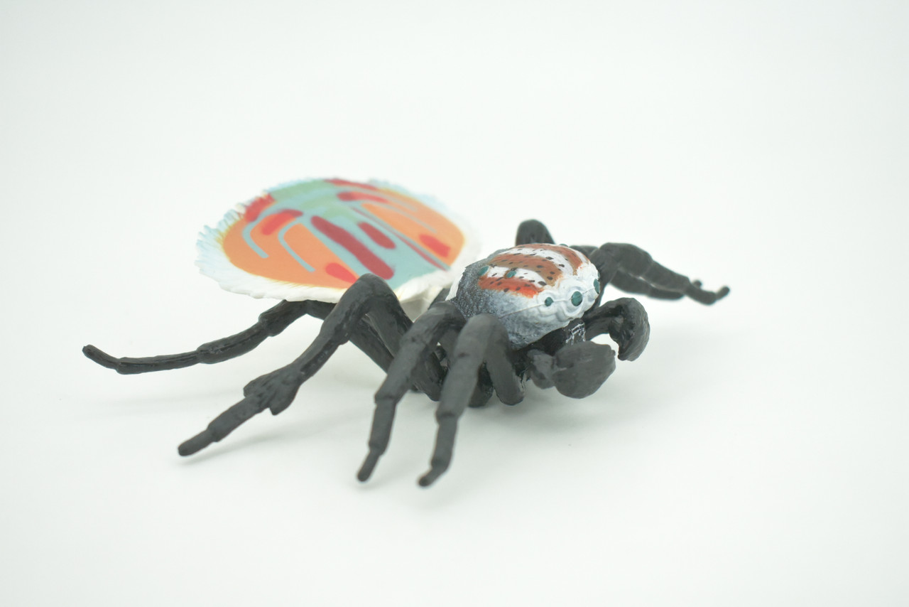 Peacock Spider, Jumping Spiders, Maratus, Museum Quality, Hand Painted, Realistic, Rubber, Insect, Figure, Model, Toy, Kids, Educational, Gift    4 1/2"    CH281 BB177