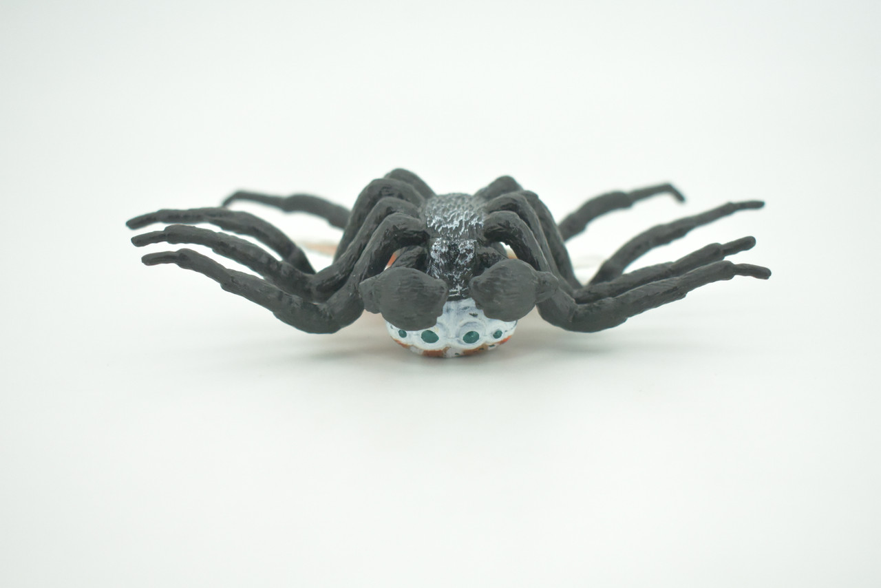 Peacock Spider, Jumping Spiders, Maratus, Museum Quality, Hand Painted, Realistic, Rubber, Insect, Figure, Model, Toy, Kids, Educational, Gift    4 1/2"    CH281 BB177
