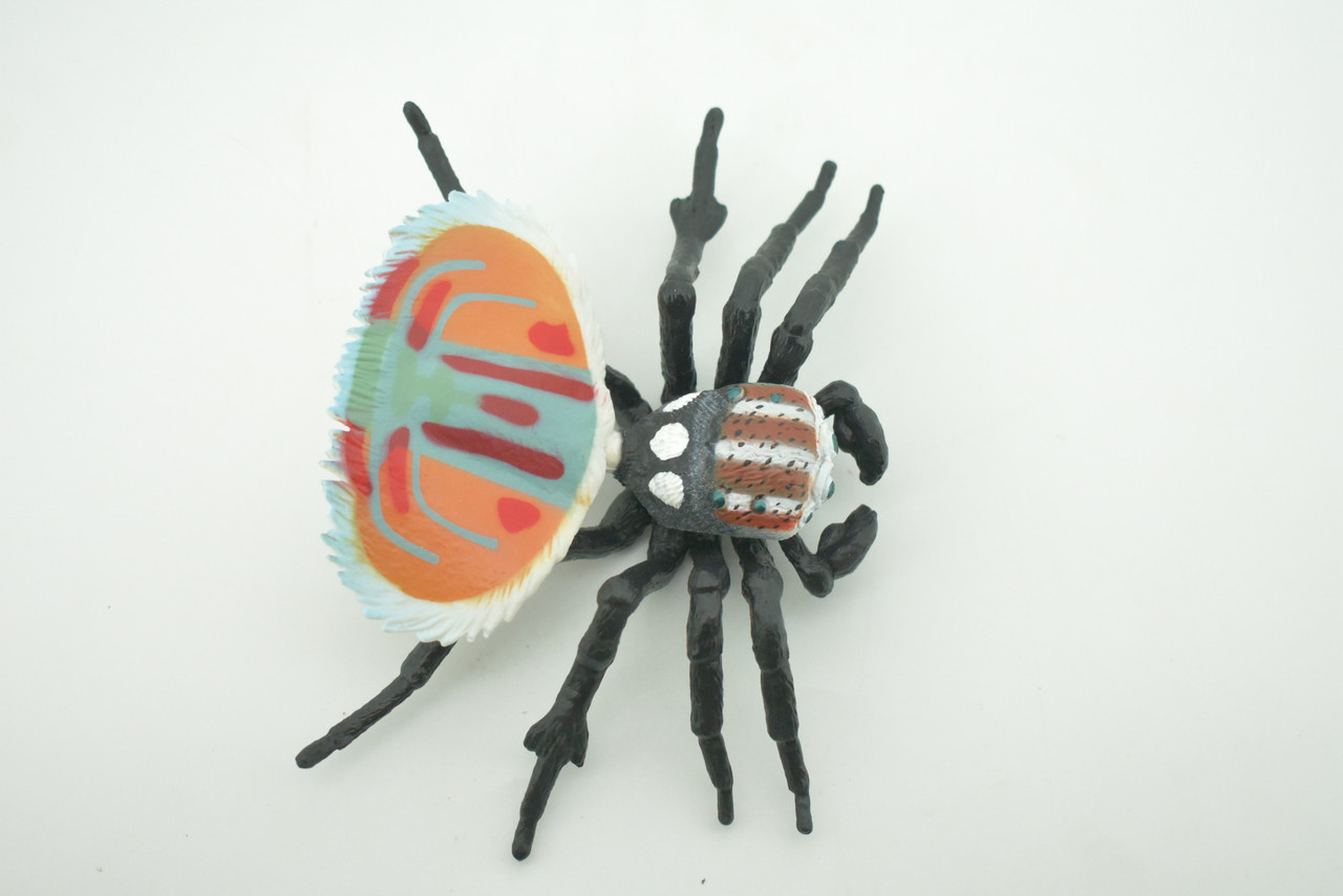 Peacock Spider, Jumping Spiders, Maratus, Museum Quality, Hand Painted, Realistic, Rubber, Insect, Figure, Model, Toy, Kids, Educational, Gift    4 1/2"    CH281 BB177