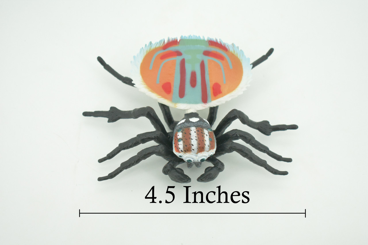 Peacock Spider, Jumping Spiders, Maratus, Museum Quality, Hand Painted, Realistic, Rubber, Insect, Figure, Model, Toy, Kids, Educational, Gift    4 1/2"    CH281 BB177