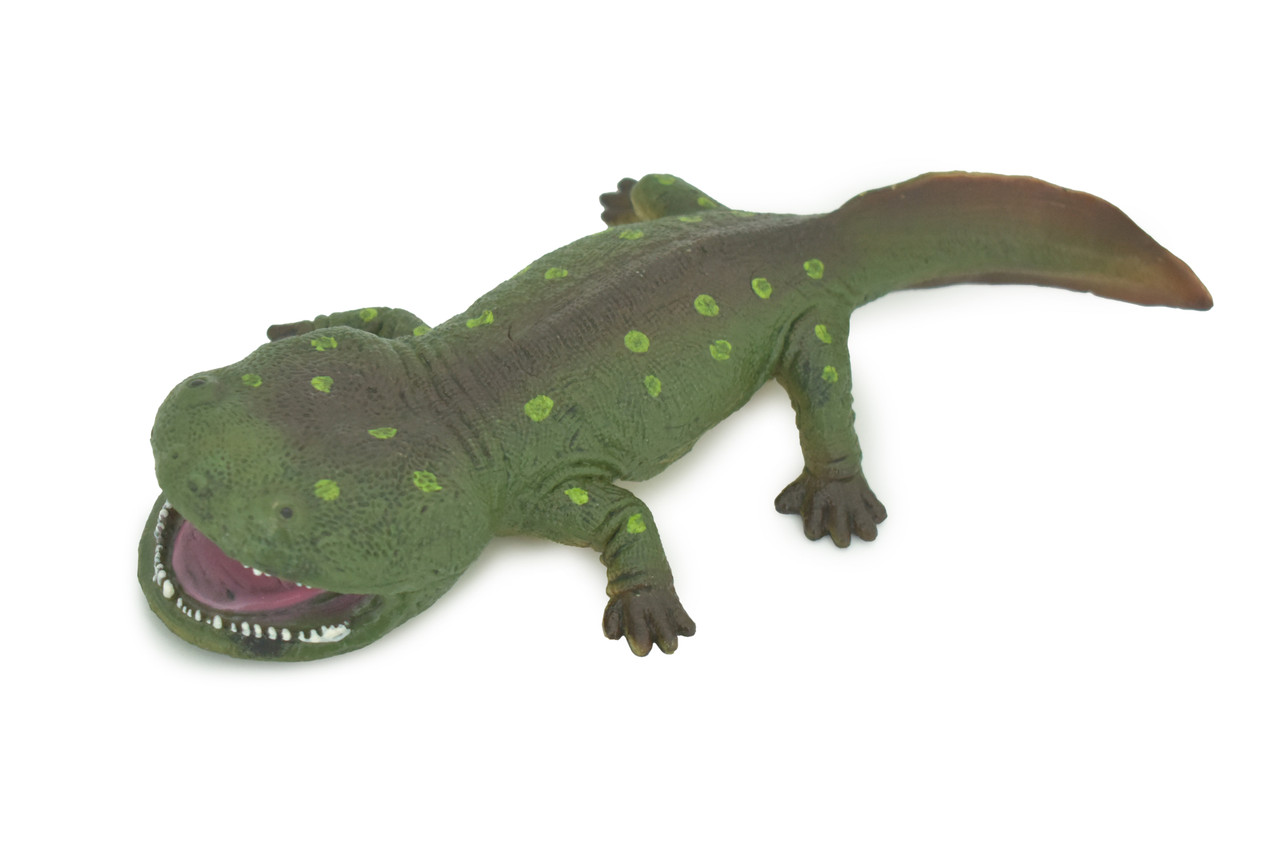 Koolasuchus Cleelandi, Green, Prehistoric Amphibian, Museum Quality, Hand Painted, Realistic, Rubber, Animal, Figure, Model, Toy, Kids, Educational, Gift  8"  CH282 BB178