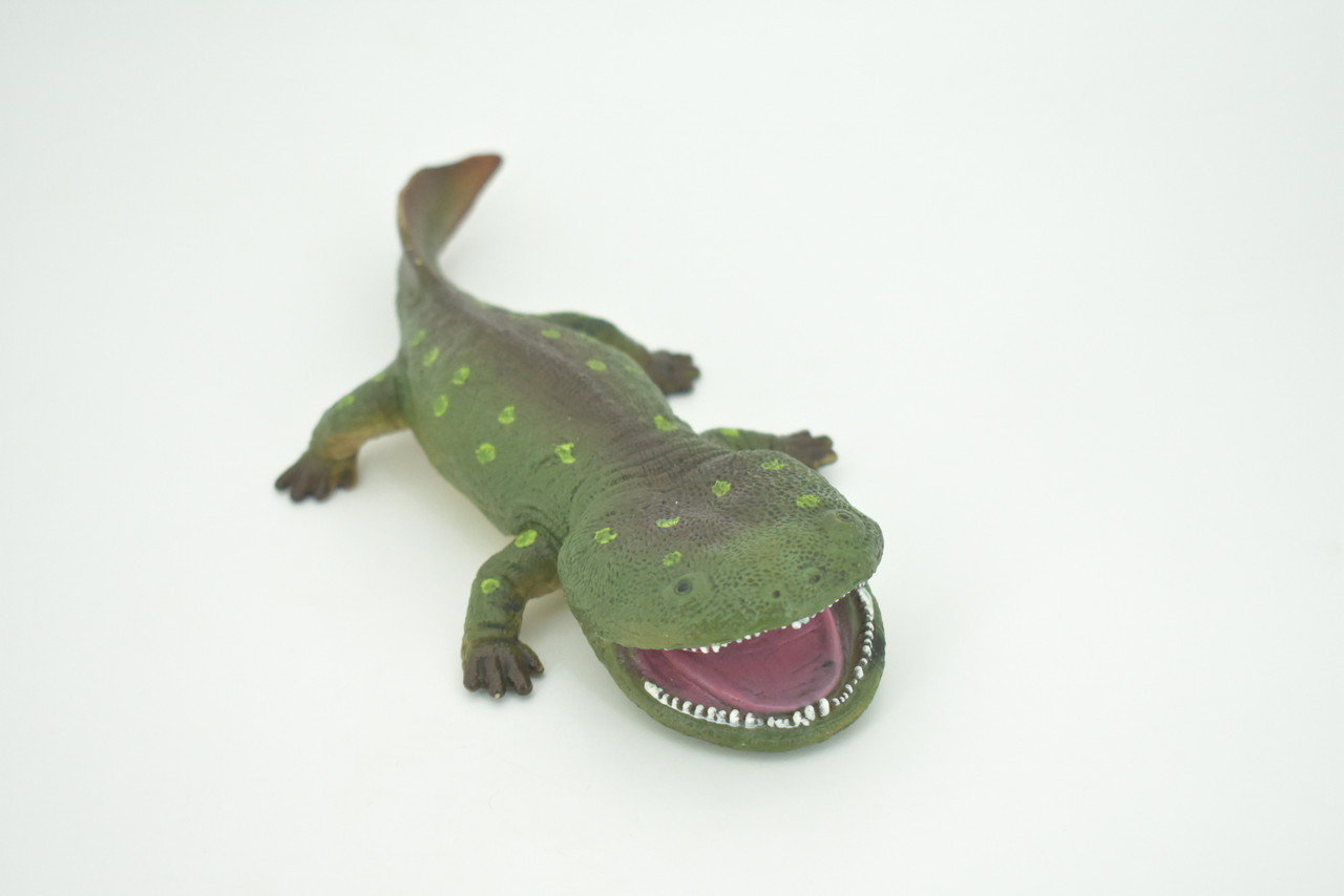 Koolasuchus Cleelandi, Green, Prehistoric Amphibian, Museum Quality, Hand Painted, Realistic, Rubber, Animal, Figure, Model, Toy, Kids, Educational, Gift  8"  CH282 BB178