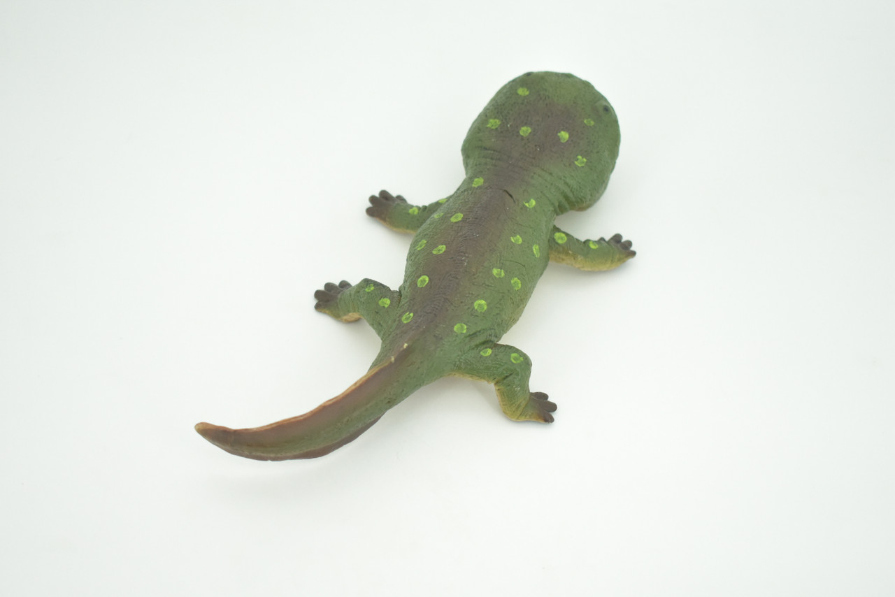 Koolasuchus Cleelandi, Green, Prehistoric Amphibian, Museum Quality, Hand Painted, Realistic, Rubber, Animal, Figure, Model, Toy, Kids, Educational, Gift  8"  CH282 BB178
