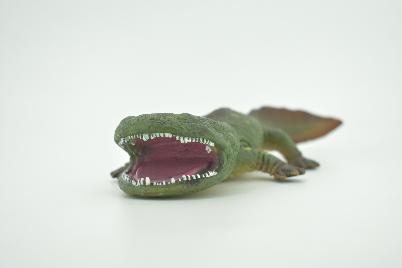 Koolasuchus Cleelandi, Green, Prehistoric Amphibian, Museum Quality, Hand Painted, Realistic, Rubber, Animal, Figure, Model, Toy, Kids, Educational, Gift  8"  CH282 BB178