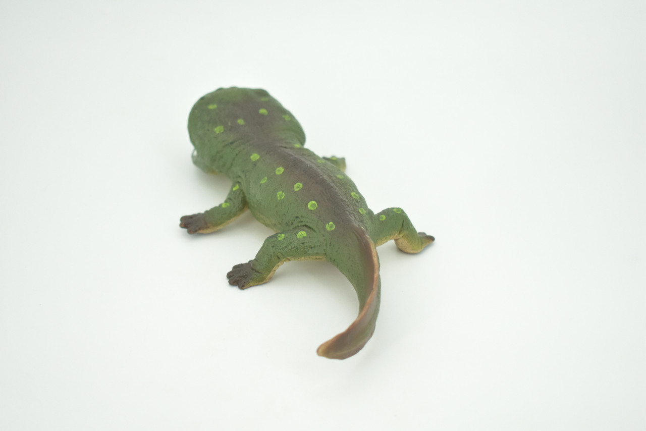 Koolasuchus Cleelandi, Green, Prehistoric Amphibian, Museum Quality, Hand Painted, Realistic, Rubber, Animal, Figure, Model, Toy, Kids, Educational, Gift  8"  CH282 BB178