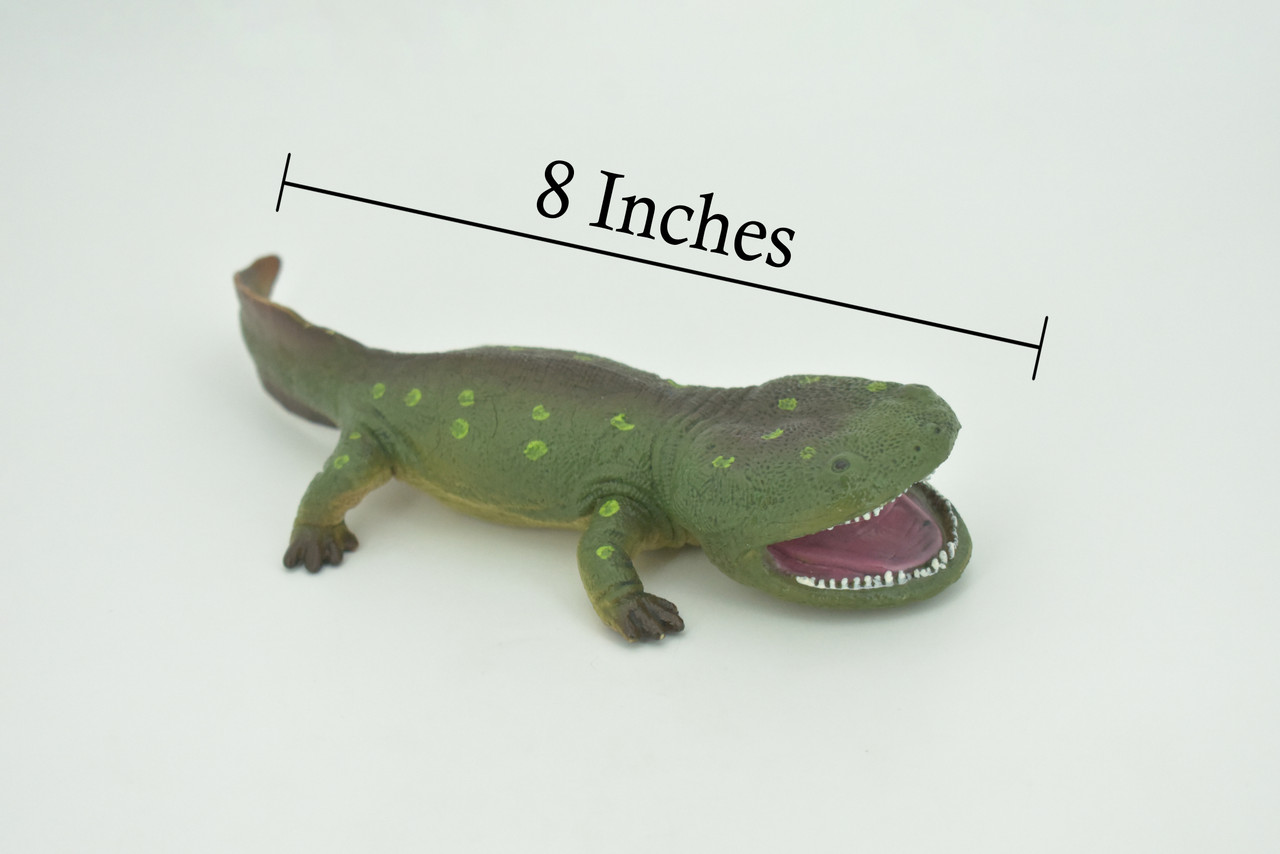 Koolasuchus Cleelandi, Green, Prehistoric Amphibian, Museum Quality, Hand Painted, Realistic, Rubber, Animal, Figure, Model, Toy, Kids, Educational, Gift  8"  CH282 BB178